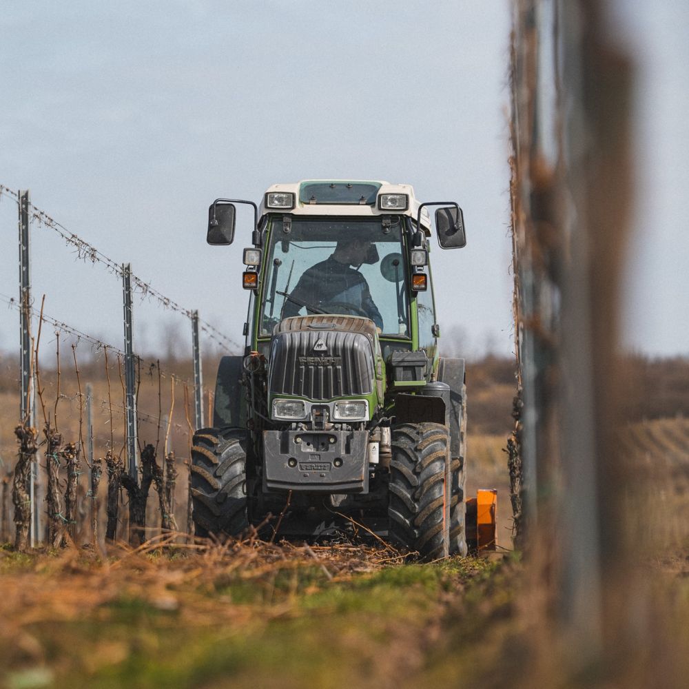 My jsme na příchod jara připraveni. A co vy?